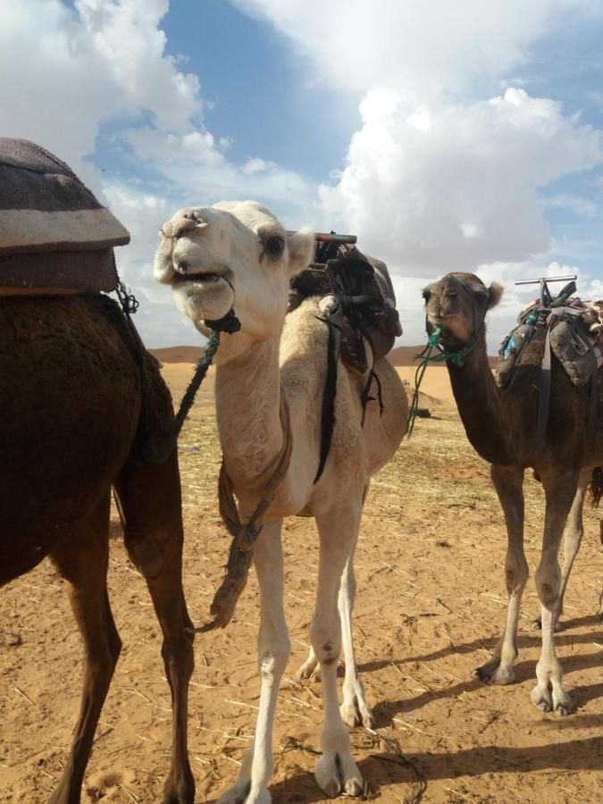 Hotel Nomad House Merzouga Esterno foto